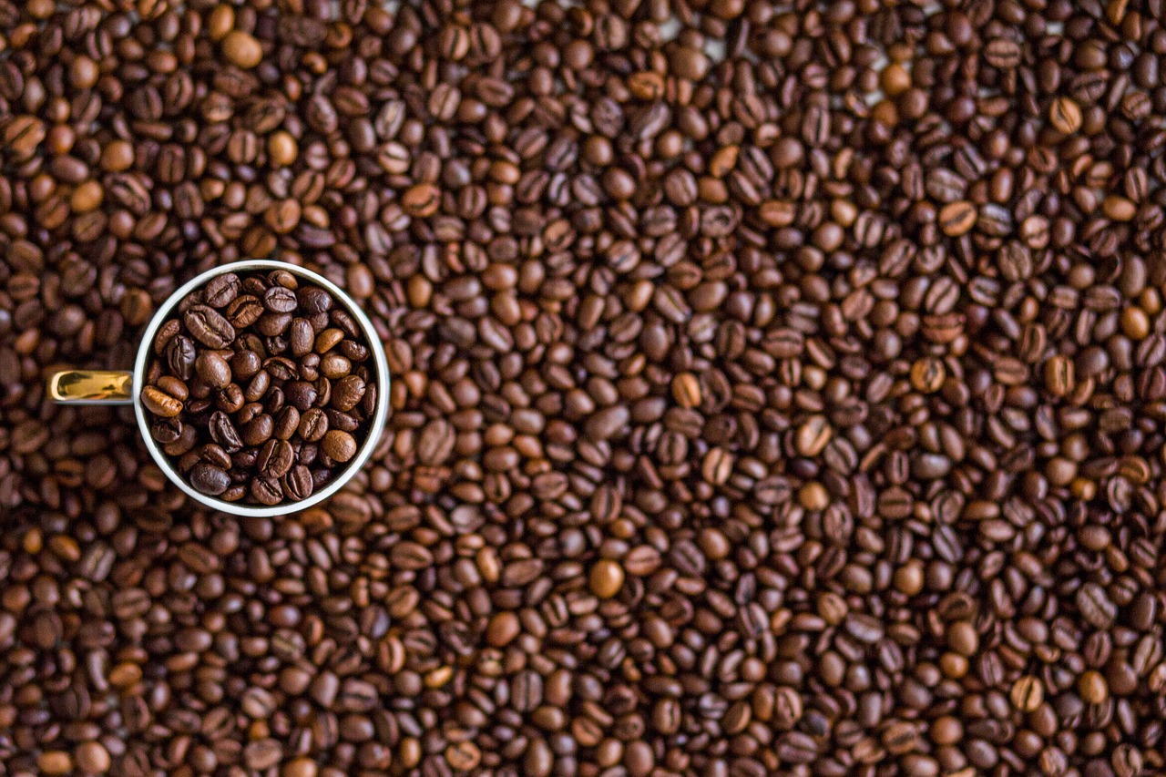 انواع رست قهوه چیست؟